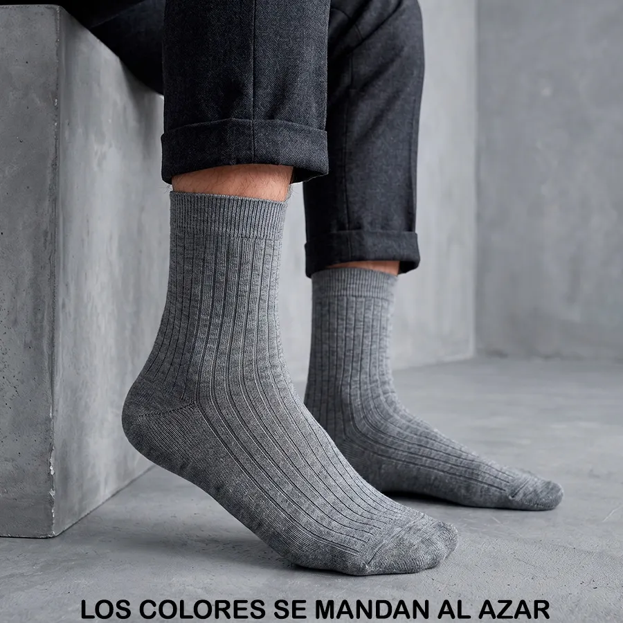 AE13-2 EDICION 11828